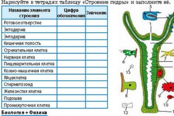 Зайти на кракен через браузер