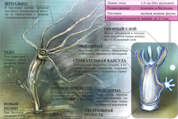 Кракен магазин krakens13 at