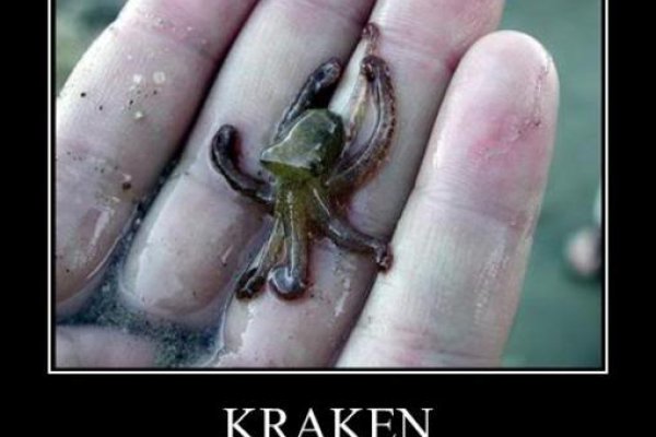 Kraken 18 at